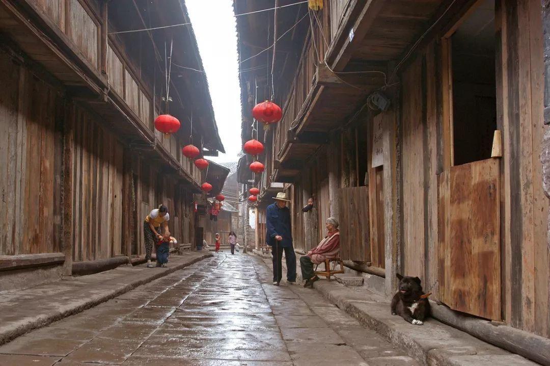 虫虫助手下载